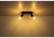 Globo 54030-2 - Lampă spot HERMINE 2xE27/60W/230V