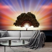 Fototapet - Copac în razele solare (147x102 cm)