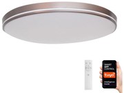 Plafonieră LED dimabilă NEO LITE 48W/230V Tuya Wi-Fi Immax NEO 07150-C51 + telecomandă