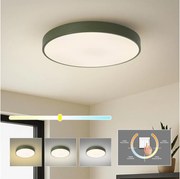 Brilagi - Plafonieră LED POOL, 60W, 230V, 3000/4000/6000K, 50 cm, verde
