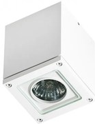 Spot aplicat / Plafoniera pentru iluminat exterior IP54 TONIO