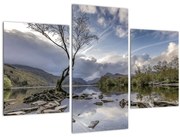 Tablou cu râu și copac (90x60 cm)