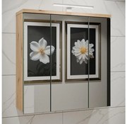 Corp suspendat pentru baie cu oglindă VENOM, verde/stejar artisan