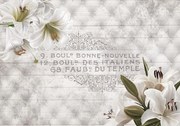 Fototapet - Crinul și eleganța albă (254x184 cm)