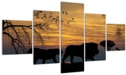 Tablou cu Safari (125x70 cm), în 40 de alte dimensiuni noi