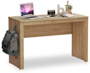 Birou de studiu pentru copii Colectia Mocha 120x75x55 cm