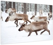 Tablou - Renul (90x60 cm)