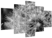 Tablou - mulțime de păpădii (150x105 cm)