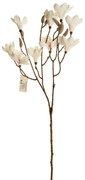 Magnolia ramură albă 70 cm înălțime. 9 flori șimuguri
