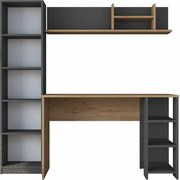 Birou cu bibliotecă Hado Walnut și Anthracite