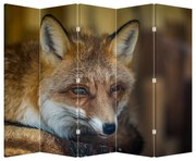 Paravan - Vulpe (210x170 cm)