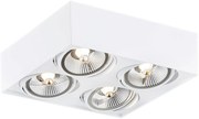 Plafoniera Spot aplicat tavan directionabil RODOS PLUS 4 alba