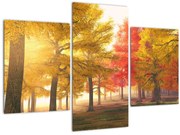 Tablou cu copaci toamna (90x60 cm)