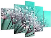 Tablou - planta cu rouă (150x105 cm)