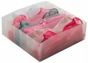 Compactor Organizator sertar pentru lenjerie intimă Optimo, 6 compartimente