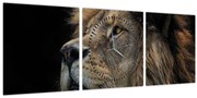 Tablou - Leul maiestuos (cu ceas) (90x30 cm)
