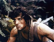 Fotografie Sylvester Stallone