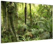 Tablou - Pădure tropicală (90x60 cm)