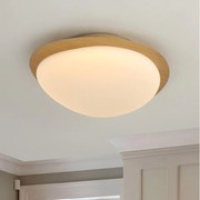 Brilagi - Plafonieră LED VISBY WOOD LED/18W/230V Ø38 cm maro