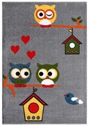 Covor cu Bufnite Pentru Copii 11205 Selectează mărime: 080 X 150