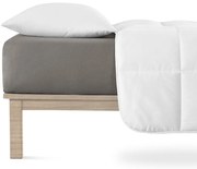 Cearșaf de pa 4Home Lycra jersey antracit, 90 x 200 cm