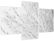 Tablou - Iarbă de pampas N⁰2 (90x60 cm)