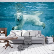 Fototapet - Ursul polar (254x184 cm)