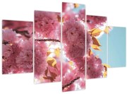 Tablou - Floare de cireș (150x105 cm)