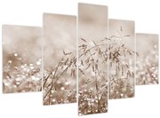 Tablou - Pajiște în tonuri de maro (150x105 cm)