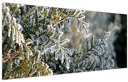 Tablou - Detaliu ramură (120x50 cm)