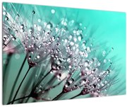 Tablou - planta cu rouă (90x60 cm)