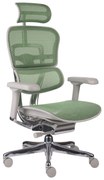 Scaun de birou Ergohuman 2 Elite GS Green