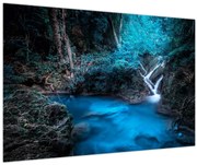 Tablou - Noaptea magică în pădurea tropicală (90x60 cm)