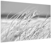 Tablou - Iarbă de plajă (90x60 cm)