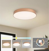 BRILAGI - Plafonieră LED. POOL LED/60W/230V 3000/4000/6000K Ø 50 cm cupru