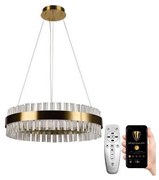 Lustră LED de cristal dimabilă pe cablu LED/40W/230V + telecomandă