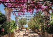 Fototapet - Terasa cu pergola cu flori (254x184 cm)