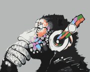 Pictura pe numere cu un cadru "Maimuța colorată 2" 50x40 cm