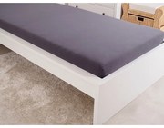 Cearșaf de pat 4Home jersey Ideal antracit , 60 x 120 cm, 60 x 120 cm