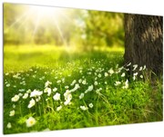 Tablou cu poiana și flori (90x60 cm)