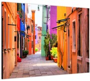 Tablou cu străduță colorata italiană (70x50 cm)