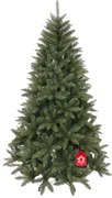 Molid Caucazian 2D 210 cm