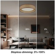 Immax NEO 07288L - Plafonieră LED+CCT dimabilă LONA, 36W/230V, Ø 45,5 cm + telecomandă