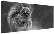 Tablou - Veveriță în timpul iernii (120x50 cm)