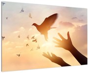 Tablou - Porumbițo, zboară! (90x60 cm)