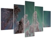 Tablou cu aurora borealis deasupra pomilor înghețați (150x105 cm)