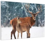 Tablou pe sticlă - Ceb și căprioare (70x50 cm)