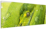 Tablou cu șarpe (120x50 cm)
