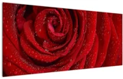 Tablou - detaliu de trandafir (120x50 cm)