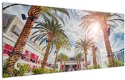 Tablou - palmier cu bazin (120x50 cm)